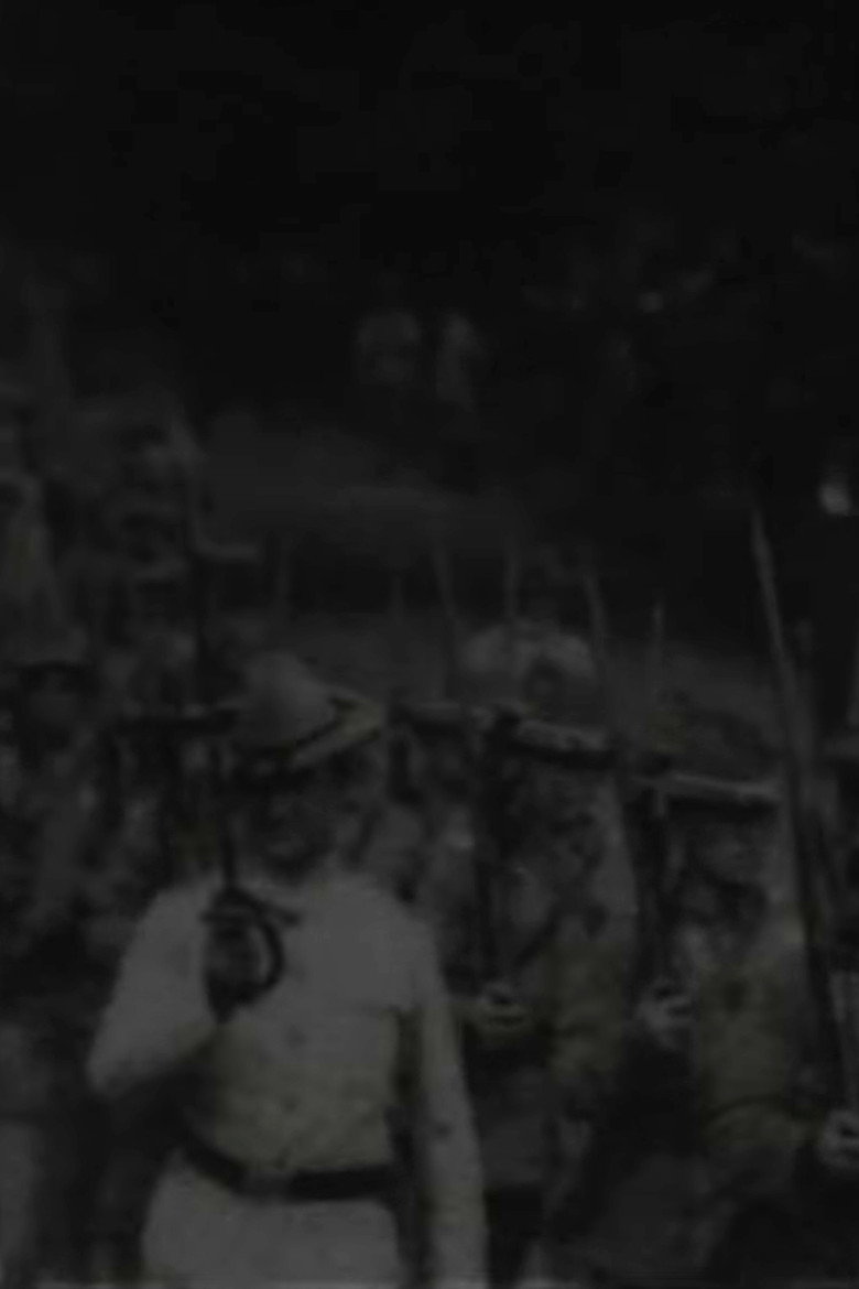 Filmi plakat: 15th Infantry