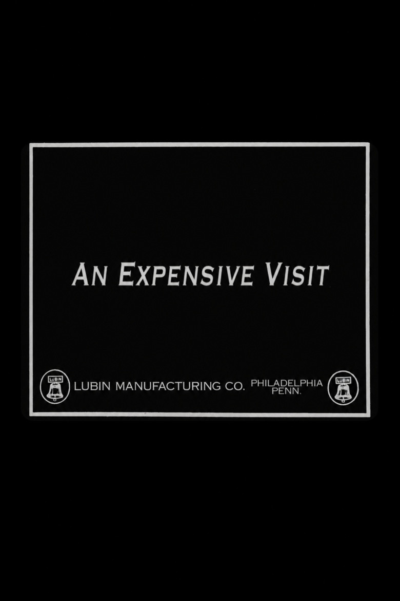 Pòster de pel·lícula: An Expensive Visit